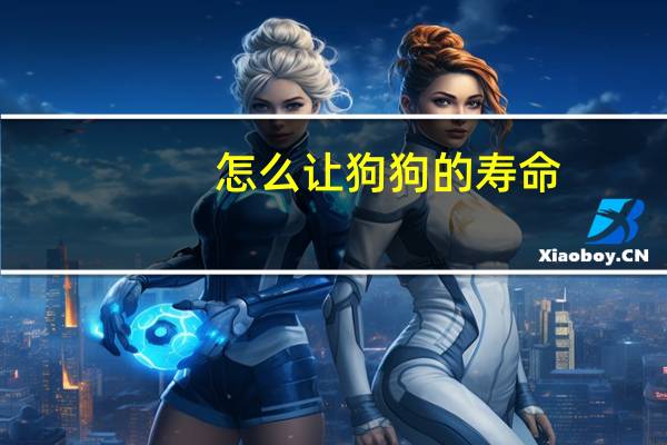 怎么让狗狗的寿命