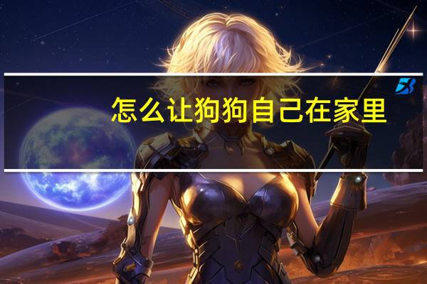 怎么让狗狗自己在家里