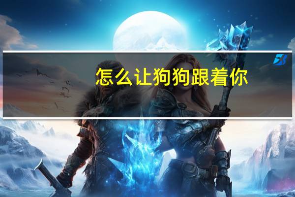 怎么让狗狗跟着你