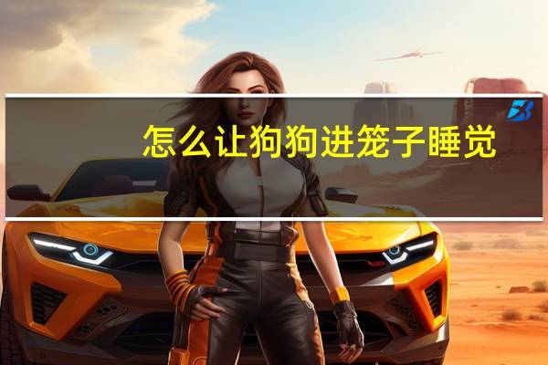 怎么让狗狗进笼子睡觉