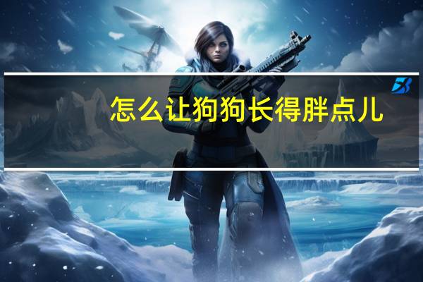 怎么让狗狗长得胖点儿