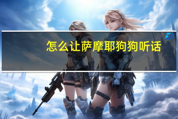 怎么让萨摩耶狗狗听话