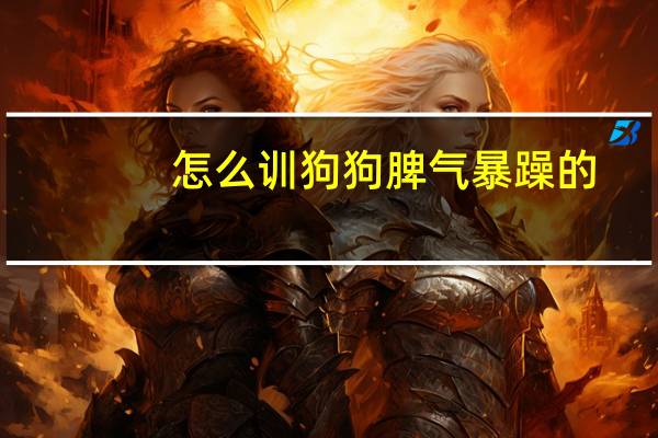 怎么训狗狗脾气暴躁的