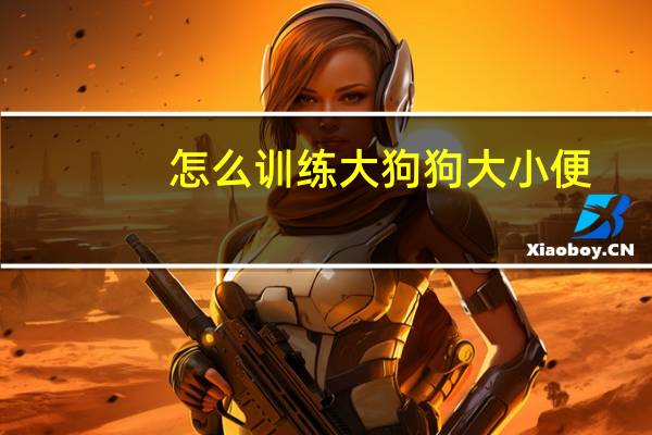 怎么训练大狗狗大小便