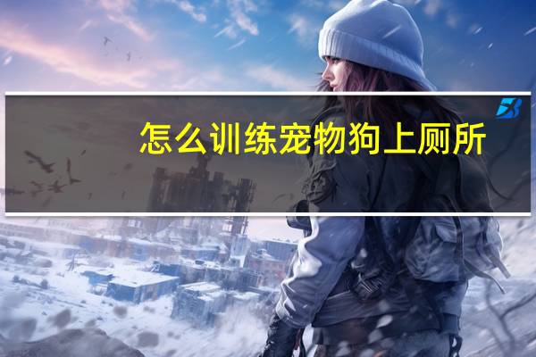 怎么训练宠物狗上厕所