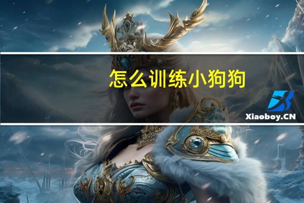 怎么训练小狗狗