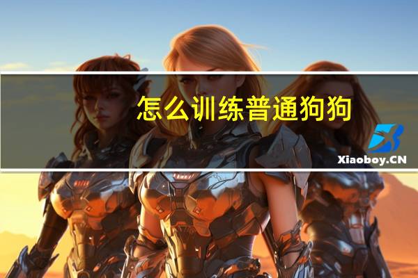 怎么训练普通狗狗
