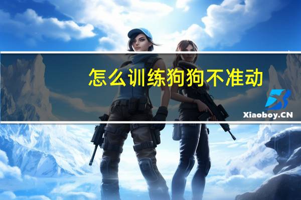怎么训练狗狗不准动
