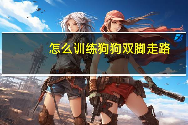 怎么训练狗狗双脚走路