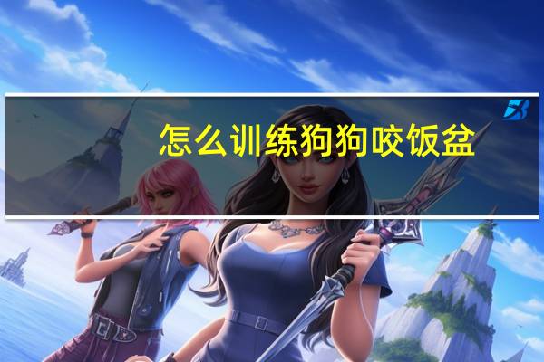 怎么训练狗狗咬饭盆