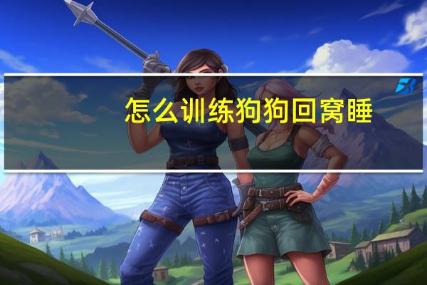 怎么训练狗狗回窝睡