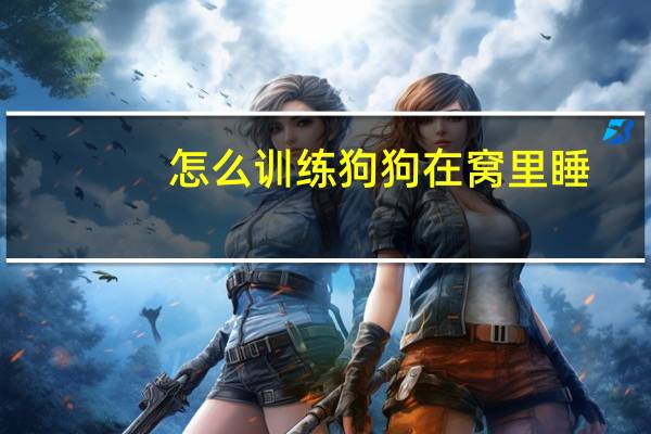 怎么训练狗狗在窝里睡