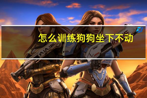怎么训练狗狗坐下不动