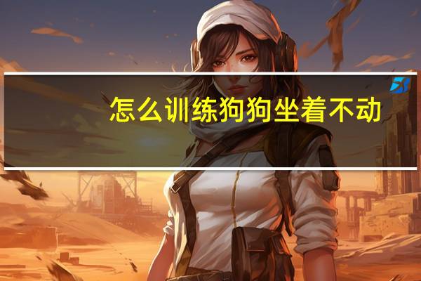 怎么训练狗狗坐着不动