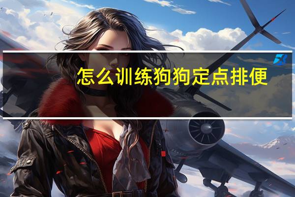 怎么训练狗狗定点排便