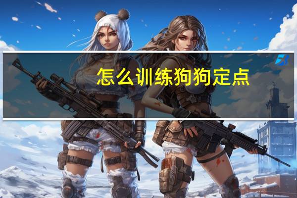 怎么训练狗狗定点