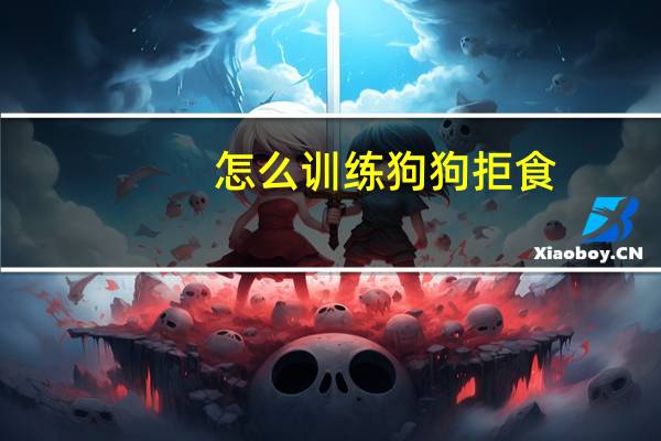 怎么训练狗狗拒食