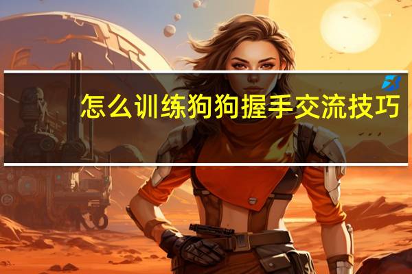 怎么训练狗狗握手交流技巧