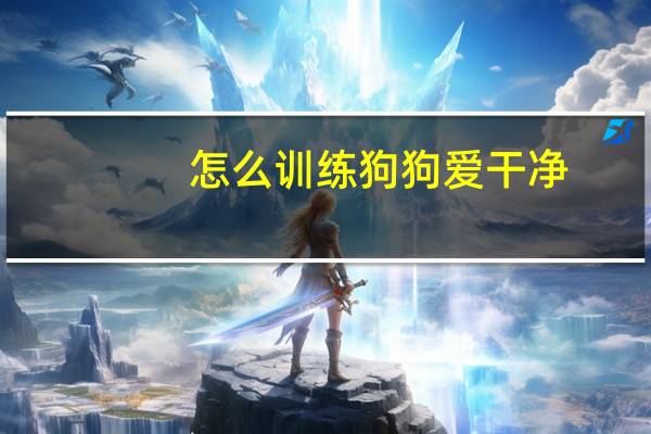 怎么训练狗狗爱干净