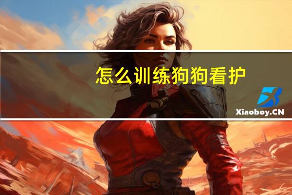 怎么训练狗狗看护