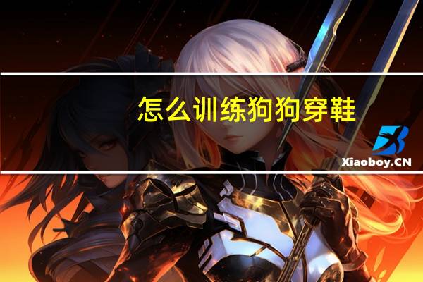 怎么训练狗狗穿鞋