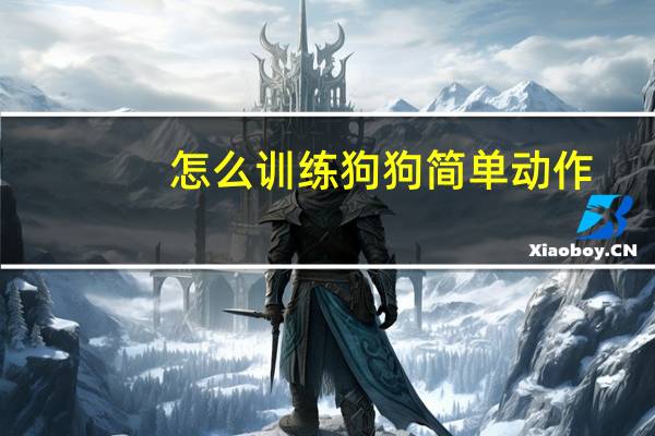 怎么训练狗狗简单动作