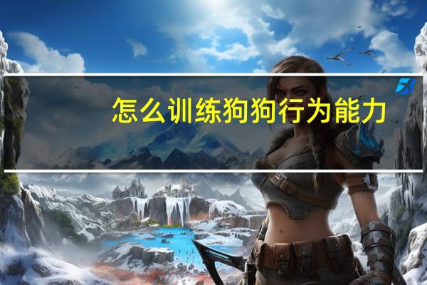 怎么训练狗狗行为能力