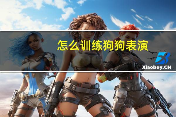 怎么训练狗狗表演
