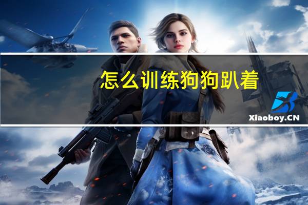 怎么训练狗狗趴着