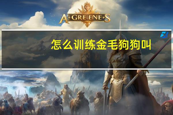 怎么训练金毛狗狗叫