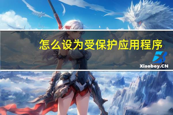怎么设为受保护应用程序