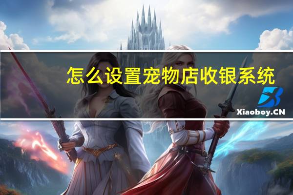 怎么设置宠物店收银系统