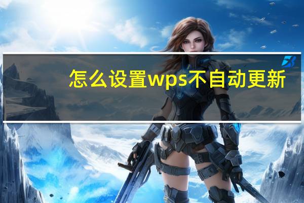 怎么设置wps不自动更新