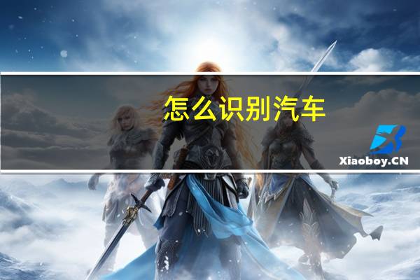 怎么识别汽车