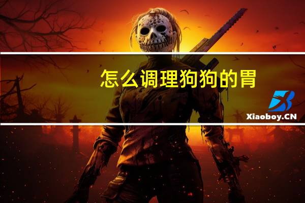 怎么调理狗狗的胃