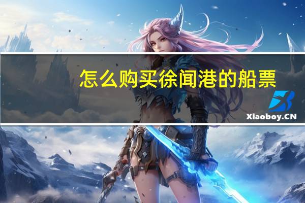 怎么购买徐闻港的船票