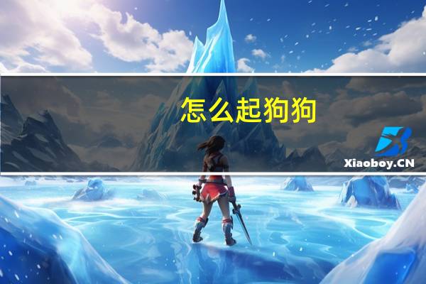怎么起狗狗