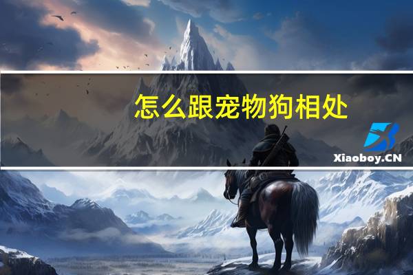 怎么跟宠物狗相处