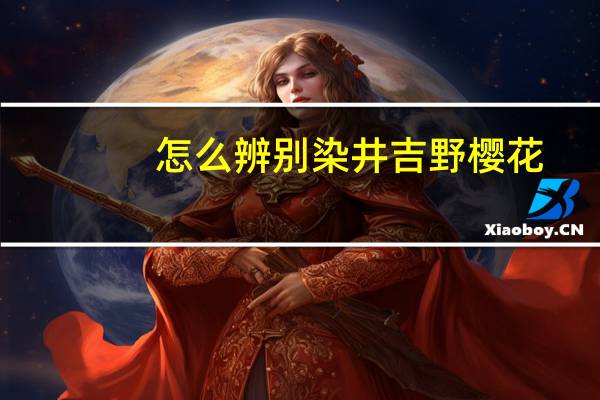 怎么辨别染井吉野樱花