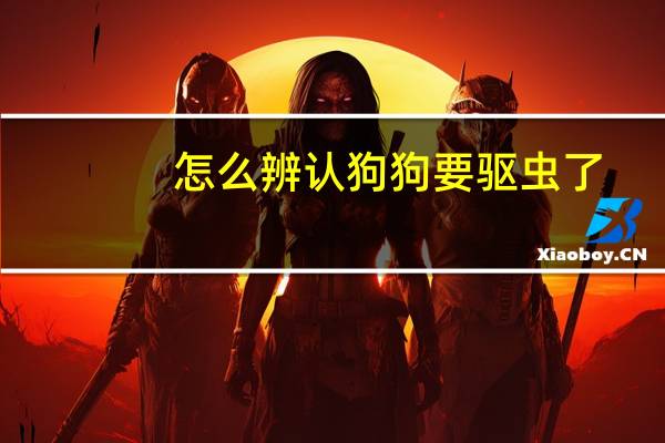 怎么辨认狗狗要驱虫了