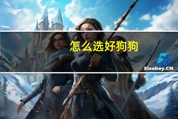 怎么选好狗狗