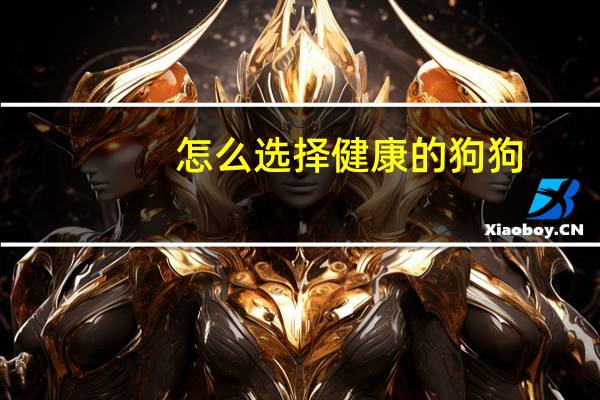 怎么选择健康的狗狗
