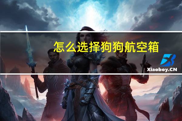 怎么选择狗狗航空箱
