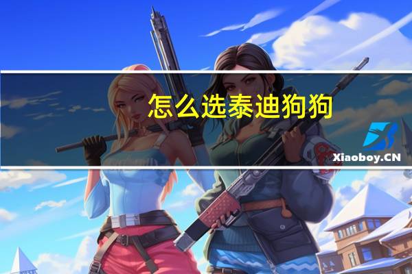 怎么选泰迪狗狗
