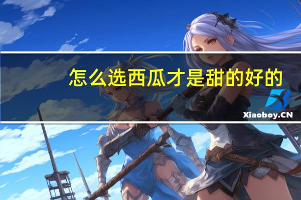 怎么选西瓜才是甜的好的
