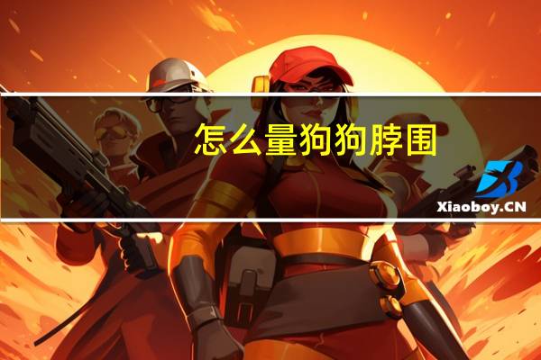 怎么量狗狗脖围