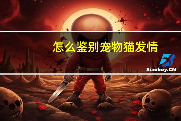 怎么鉴别宠物猫发情