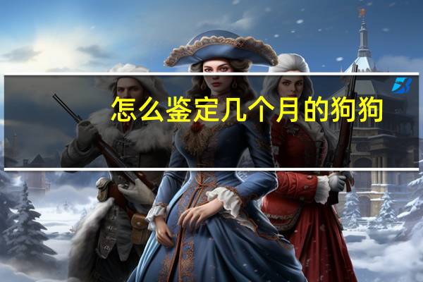 怎么鉴定几个月的狗狗