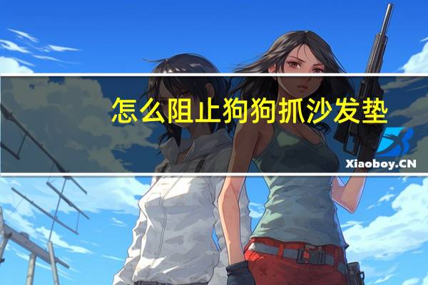 怎么阻止狗狗抓沙发垫