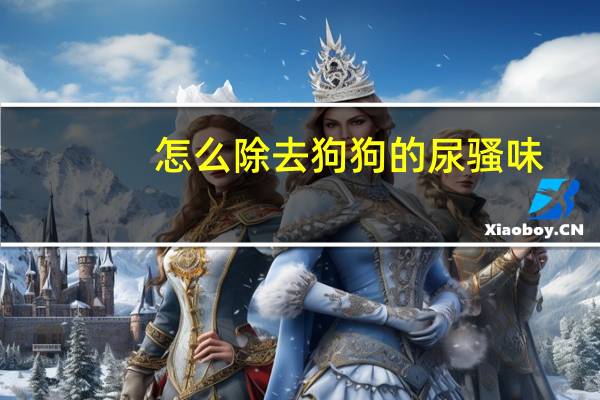 怎么除去狗狗的尿骚味